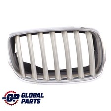 BMW X6 E71 Grille Calandre