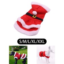 🎄 COSTUME DE NOËL POUR