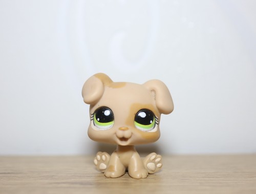 Littlest petshop puppy 1353 - petshop, #1353
