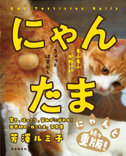 Nouveau livre photo japonais