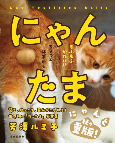 Nouveau livre photo japonais
