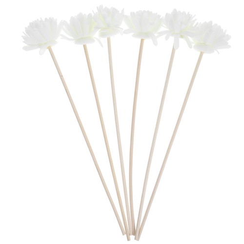 Pcs diffuseur parfum - de,