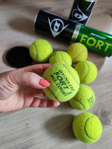 Dunlop fort all - dunlop,