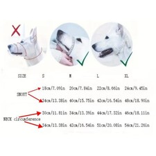 Collier tête pour chien - collier,