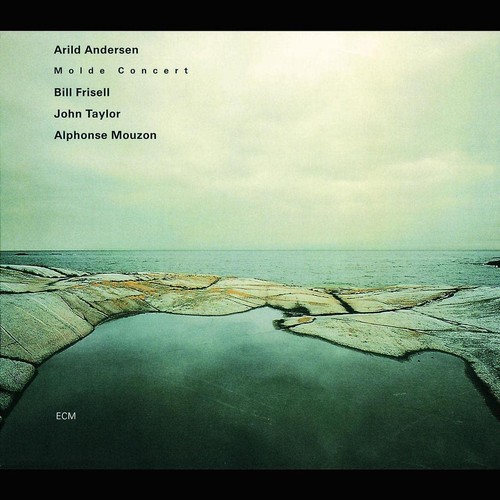 Arild andersen molde concert - andersen,