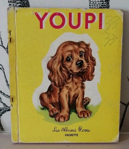 Livre enfant youpi - youpi, pierre