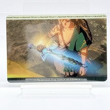 Link The Legend of Zelda Tears
