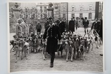 PHOTO Argentique	France	chasse