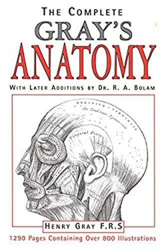 Gray anatomy broché henry - broché,