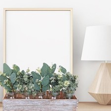 Lot de 10 tiges d'eucalyptus