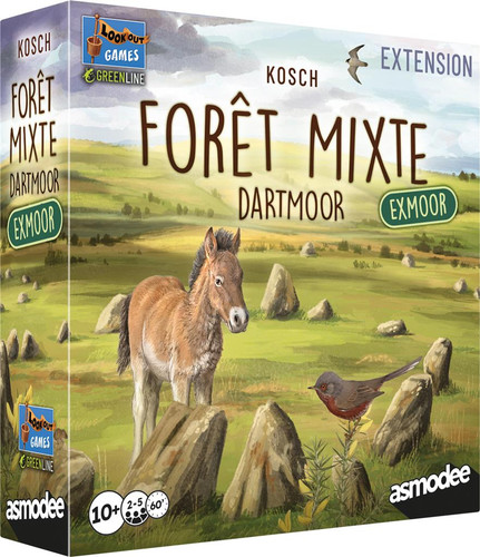 Forêt mixte dartmoor - dartmoor,