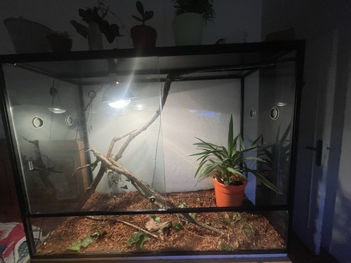 Terrarium caméléon - ,,