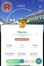 Shiny Pikachu Summer Costume