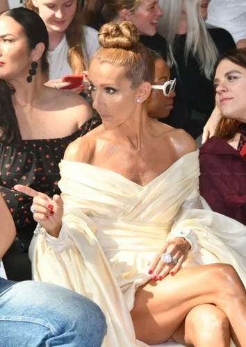 Photo céline dion portrait - céline,
