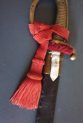 Dragonne troupe pour - de,