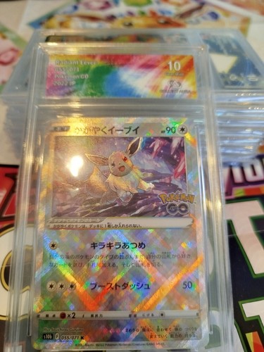 Evolie radiant pokemon - evolie, go