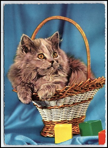 Carte postale vintage - , 1964
