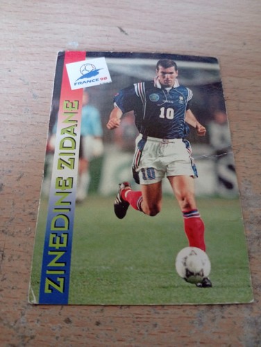 Panini zinedine zidane - panini,