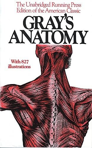 Gray anatomy henri - gray,
