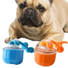 Balle interactive pour chien et chat, rechargeable, idéale pour les parcs,