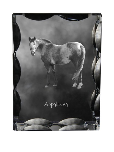 Appaloosa cadre cristal - appaloosa, en