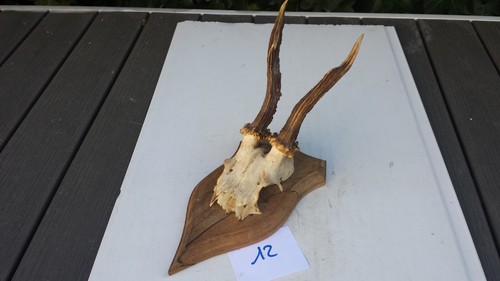 Massacre trophée de - n°12.,