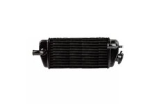 RADIATOR  BETA RR 50 ORIGINAL