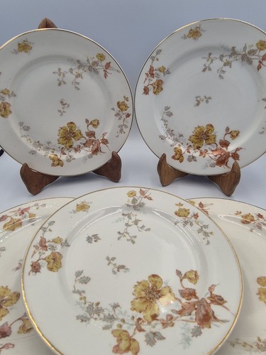 Assiettes anciennes en - 5,
