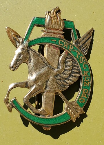 Ancienne insigne militaire - militaire, 5è