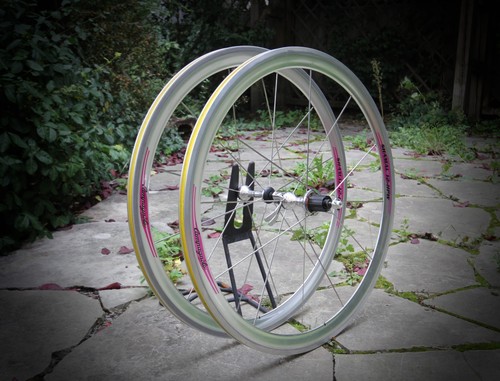 Campagnolo shamal hpw - campagnolo, 12