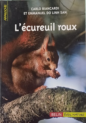 écureuil roux - l'écureuil,