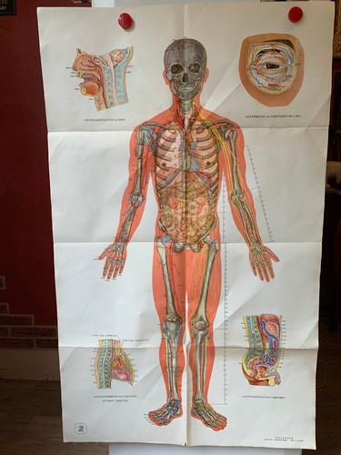 Ancienne affiche medicale - ancienne,