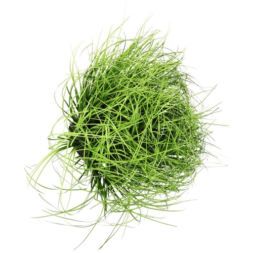 Herbe modelisme miniatures - herbe,