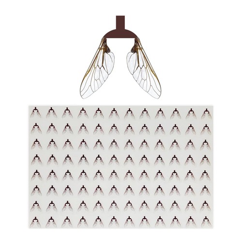 Mouches pêche la mouche - de, à
