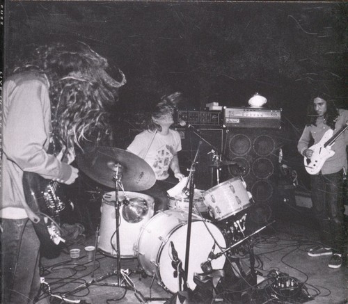Fuzz live san - fuzz,