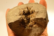 Septaria de Baryte Drome France 738g minerale Collection barite