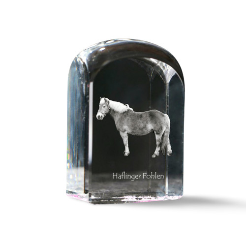 Haflinger fohlen cristaux - fohlen,