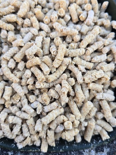 10kg pellets carpe pain - pellets,