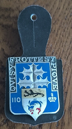 Insigne 110 régiment - 110°,