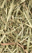 Foin Pour Animaux 1kg