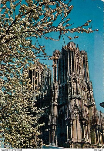 Carte postale reims - 51,