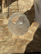 Globe en verre dépoli pour