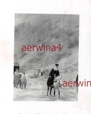 Prêtre Grec Sur Un Mulet Grèce