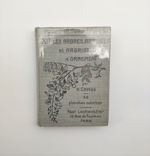 Camus les arbres - camus,