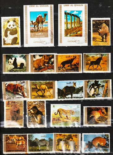 Umm kiwain timbres - kiwain,