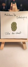 Collections Tête de Chat en
