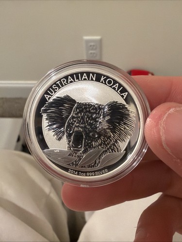 2014 australia koala - 2014, oz