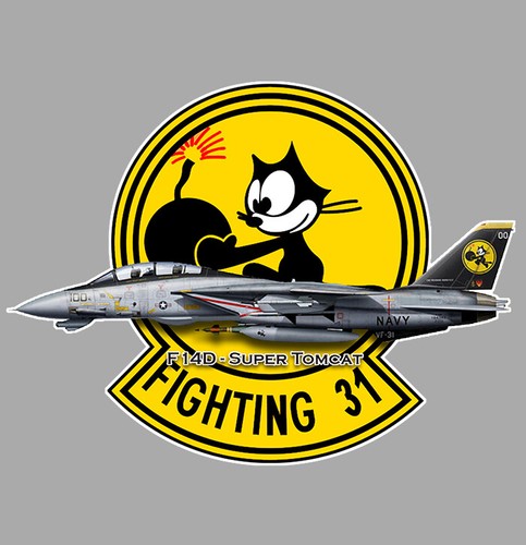 Grumman tomcat f14 - grumman, fighting