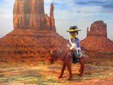 Playmobil Western / Indiens