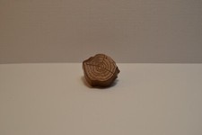 PLAYMOBIL – Petite souche